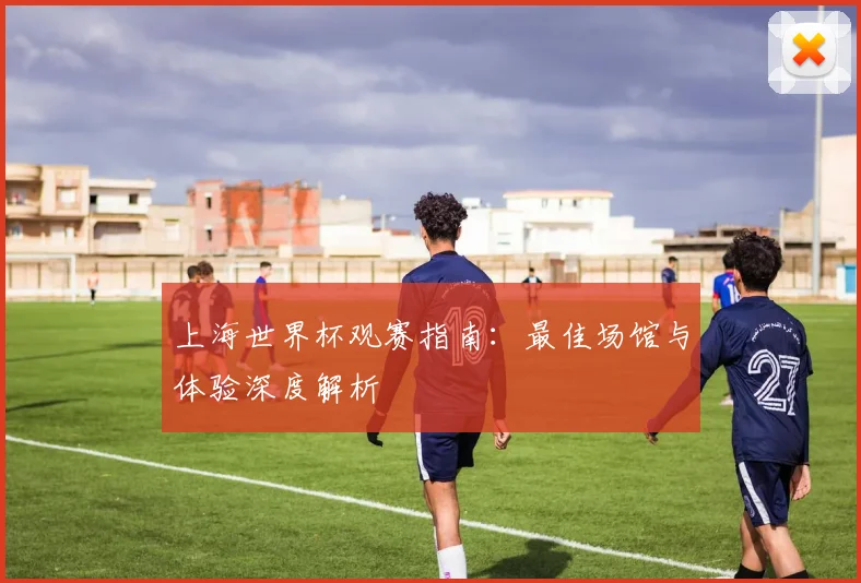上海世界杯观赛指南:最佳场馆与体验深度解析