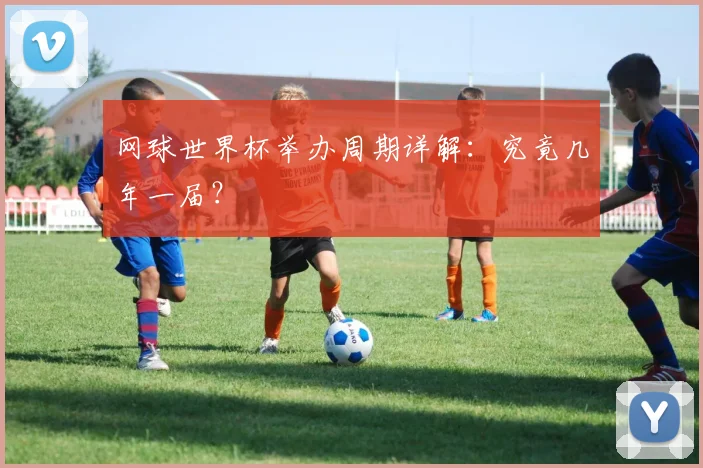 网球世界杯举办周期详解：究竟几年一届？