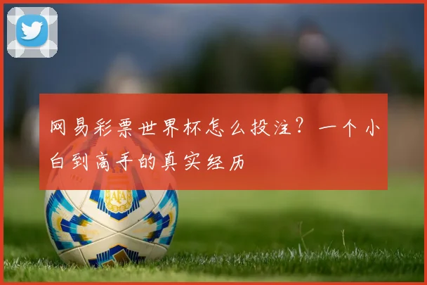 网易彩票世界杯怎么投注？一个小白到高手的真实经历