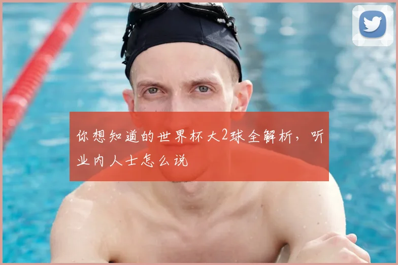 你想知道的世界杯大2球全解析，听业内人士怎么说