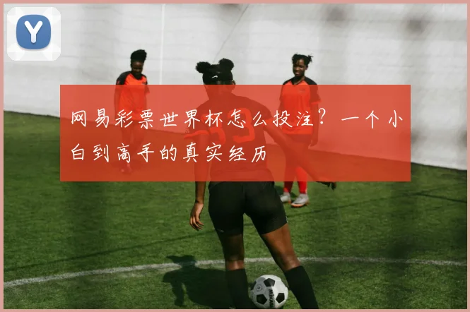 网易彩票世界杯怎么投注？一个小白到高手的真实经历