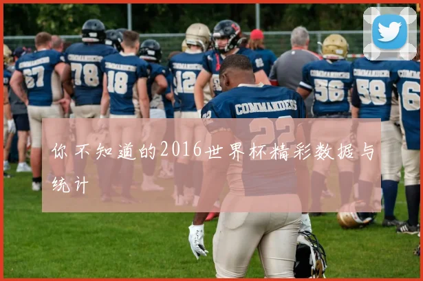 你不知道的2016世界杯精彩数据与统计