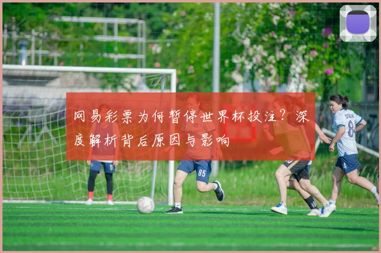 网易彩票为何暂停世界杯投注？深度解析背后原因与影响