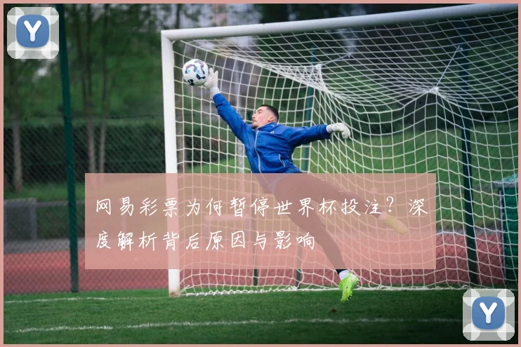 网易彩票为何暂停世界杯投注？深度解析背后原因与影响