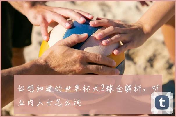 你想知道的世界杯大2球全解析，听业内人士怎么说
