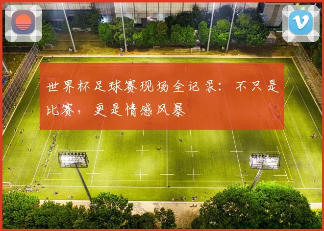 世界杯足球赛现场全记录:不只是比赛,更是情感风暴