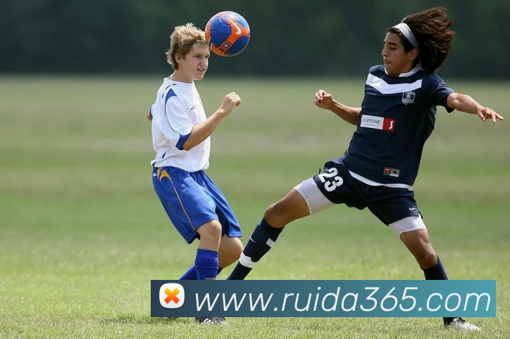 九游官网登录入口服务体系