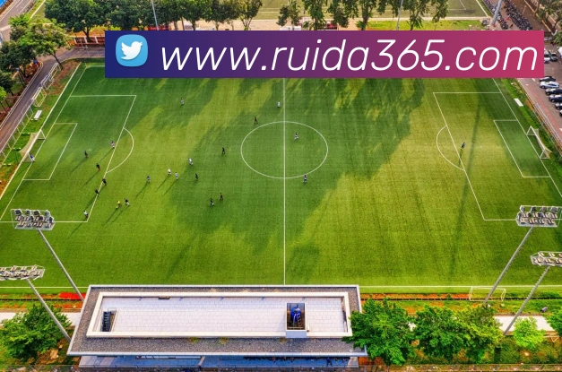 九游官网登录入口APP 体育赛事宣传图